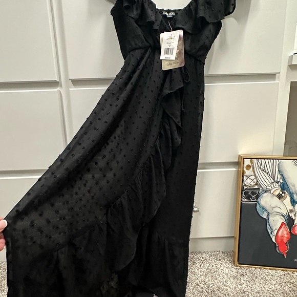 Lily Rose fully lined Dot Dress in sz SMALL - Picture 5 of 9